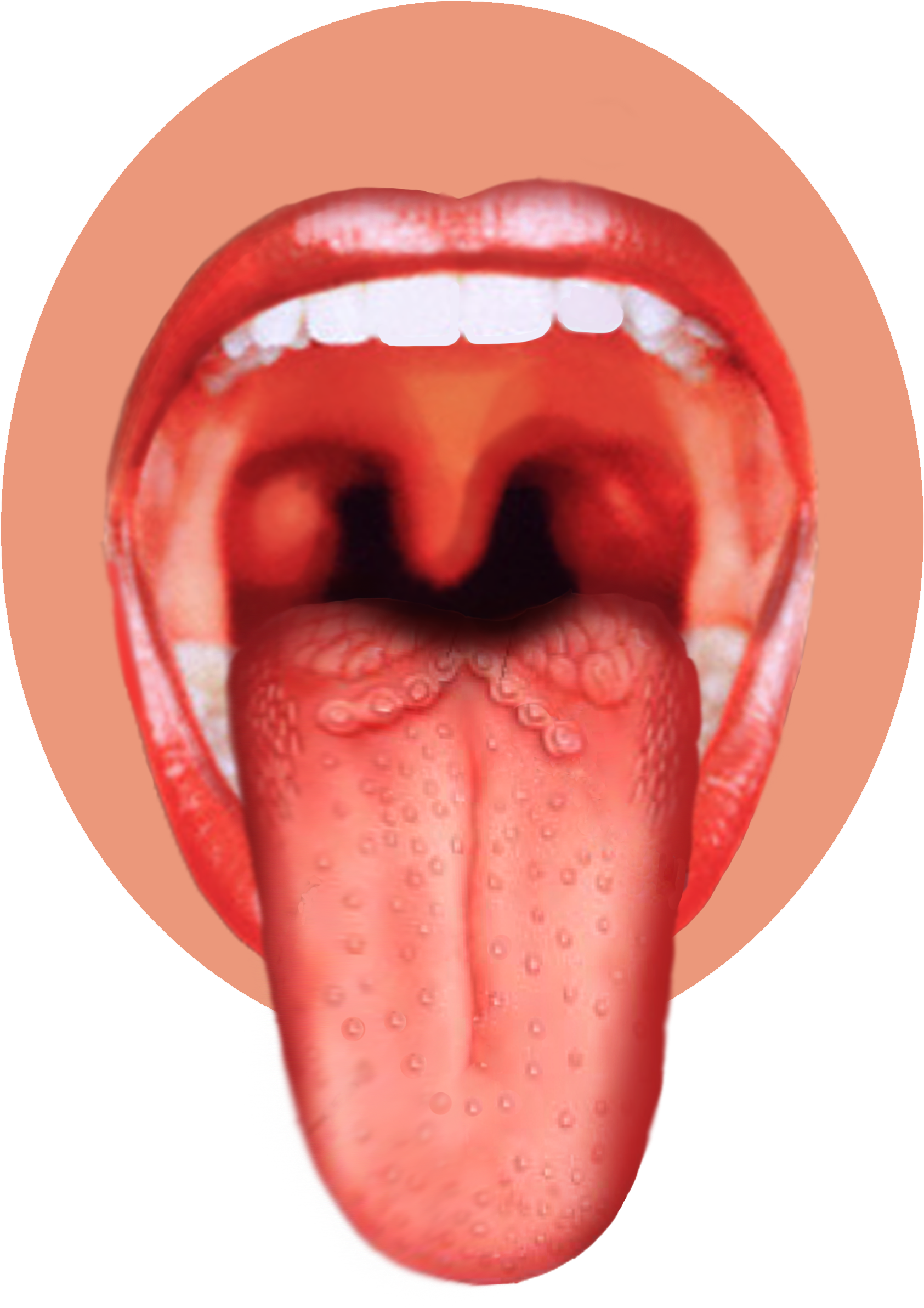 Tongue Png - Human Tongue Png, Transparent Png PNG with transparent background