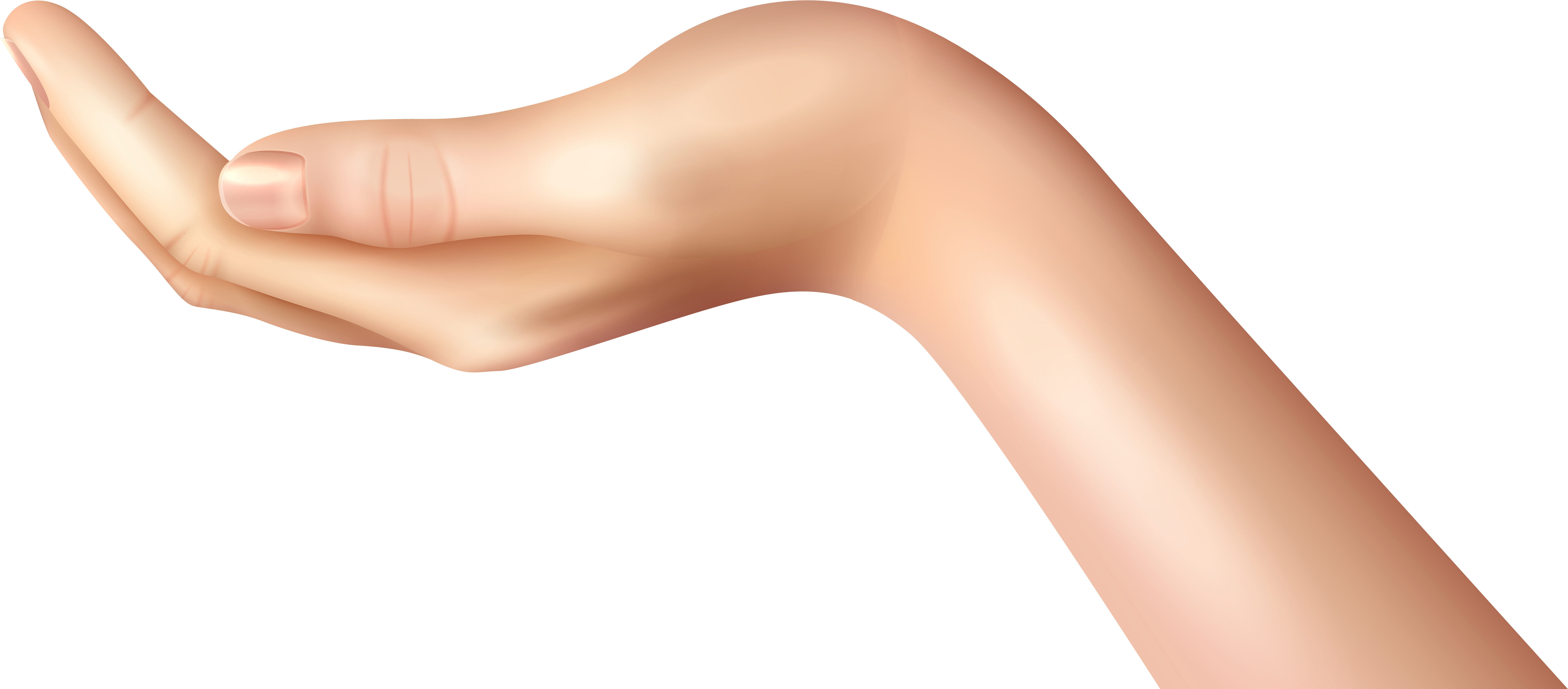 Open Palm Hand Clipart