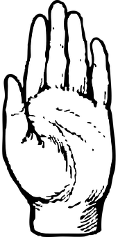 Open Palm Hand Silhouette PNG with transparent background