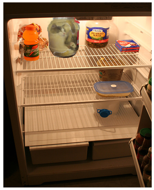 Open Refrigerator With Few Items