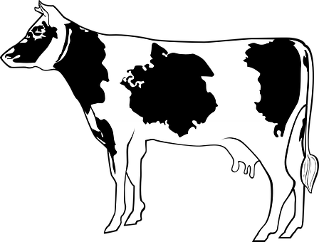 Optical Illusion Cowand Faces PNG with transparent background