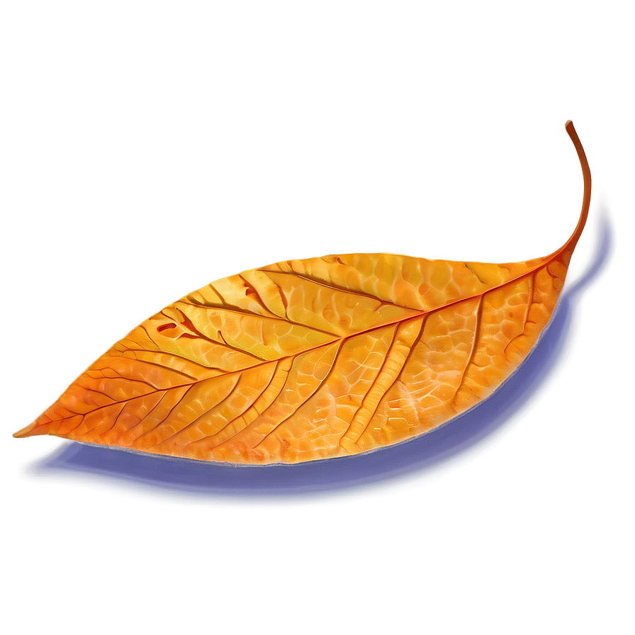 Orange Autumn Leaf Png 05252024