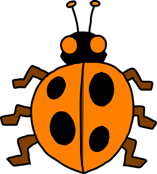 Orange Black Ladybug Illustration PNG with transparent background