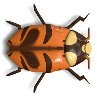 Orange Black Ladybug Illustration PNG with transparent background