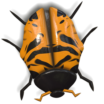 Orange Black Ladybug Illustration PNG with transparent background