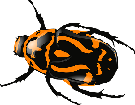 Orange Black Patterned Bug PNG with transparent background