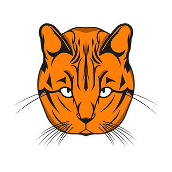 Orange Black Tiger Face Graphic