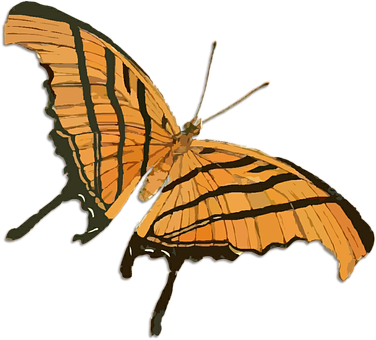 Orange Butterfly Illustration.png