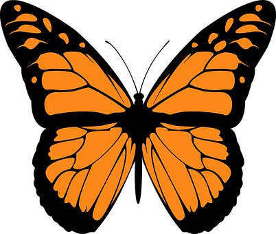 Orange Butterfly Rorschach Inkblot