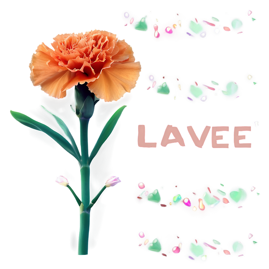 Orange Carnation Love Png 75