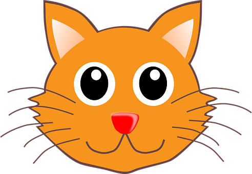 Orange Cartoon Cat Face