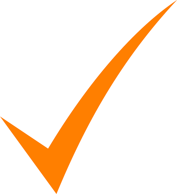 Orange Check Mark Png, Transparent Png