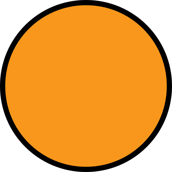 Orange Circle With Black Outline - Circle, HD Png Download PNG with transparent background