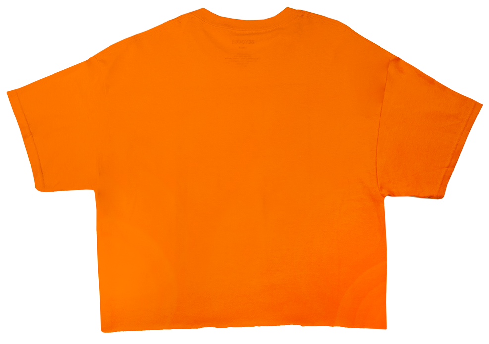 Orange Crop Top Flat Lay