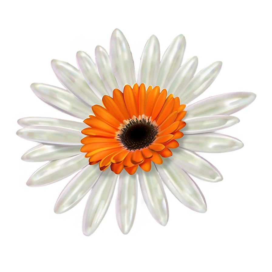 Orange Daisy Illustration Png Iqj32