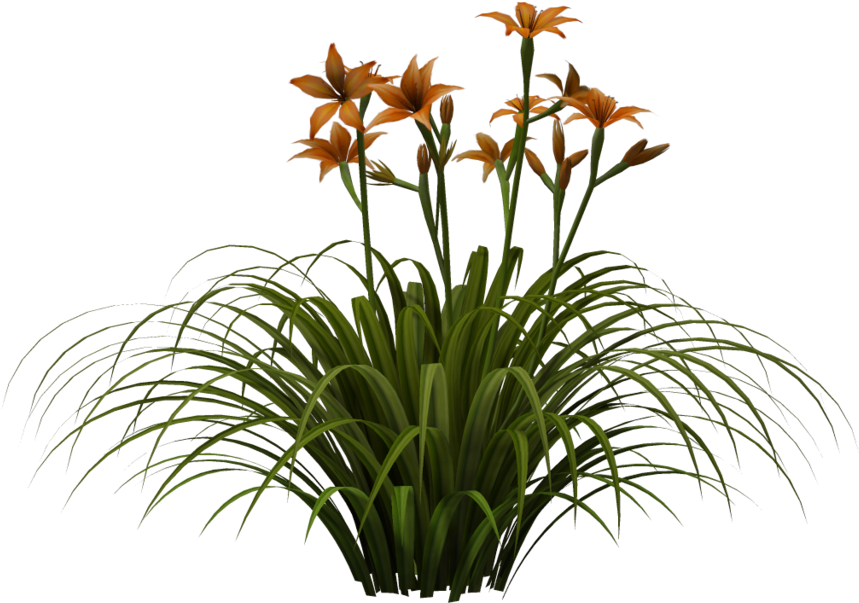 Orange Daylilies Bouquet