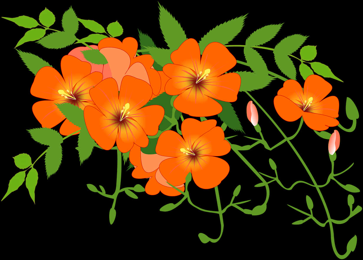 Orange Floral Vine Illustration PNG image with a transparent background, free high-resolution download