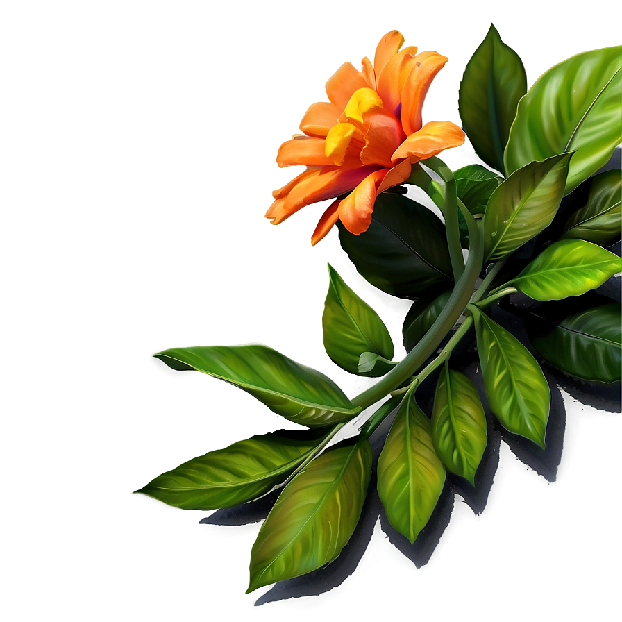 Orange Flower Bouquet Png 06122024