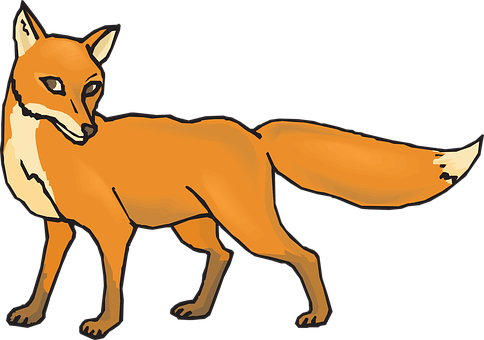 Orange Fox Illustration PNG with transparent background