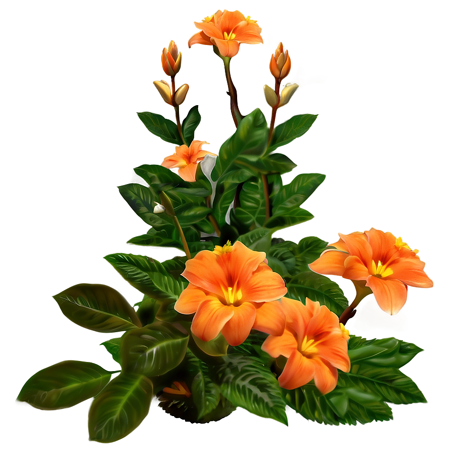 Orange Garden Flower Png Adm52