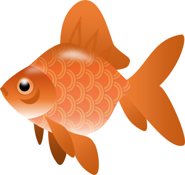 Fish,illustration - Fish Clip Art Transparent, HD Png Download PNG with transparent background
