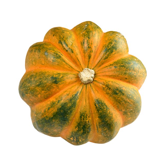 Orange Green Patterned Squash