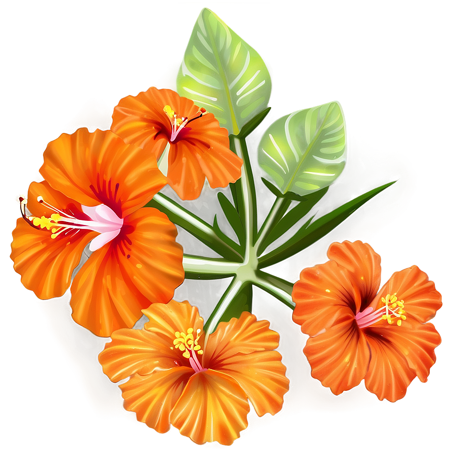 Orange Hibiscus Png Ewj62