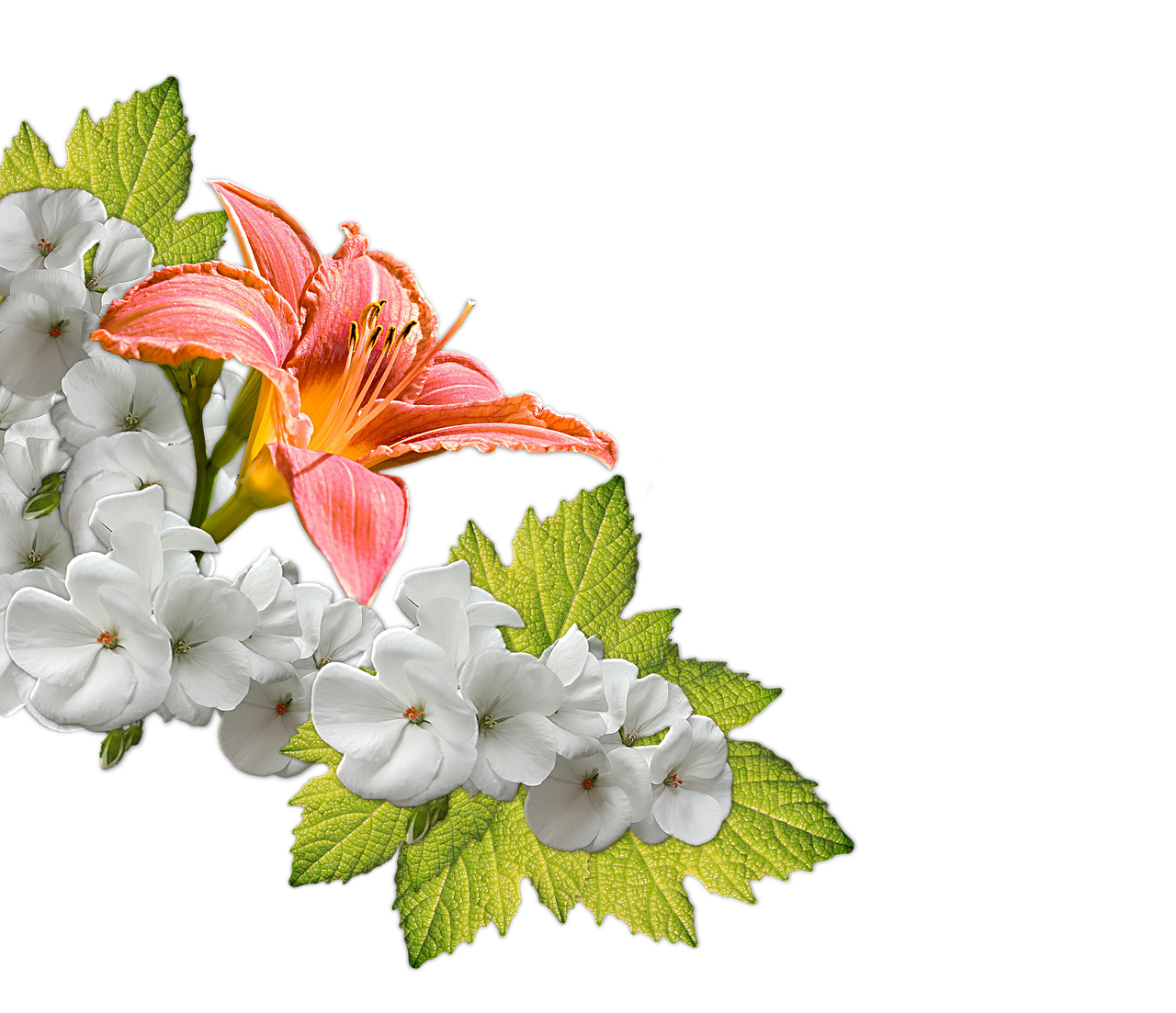 Orange Lily White Flowers Arrangement PNG with transparent background
