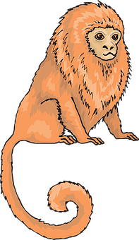 Orange Monkey Illustration PNG with transparent background
