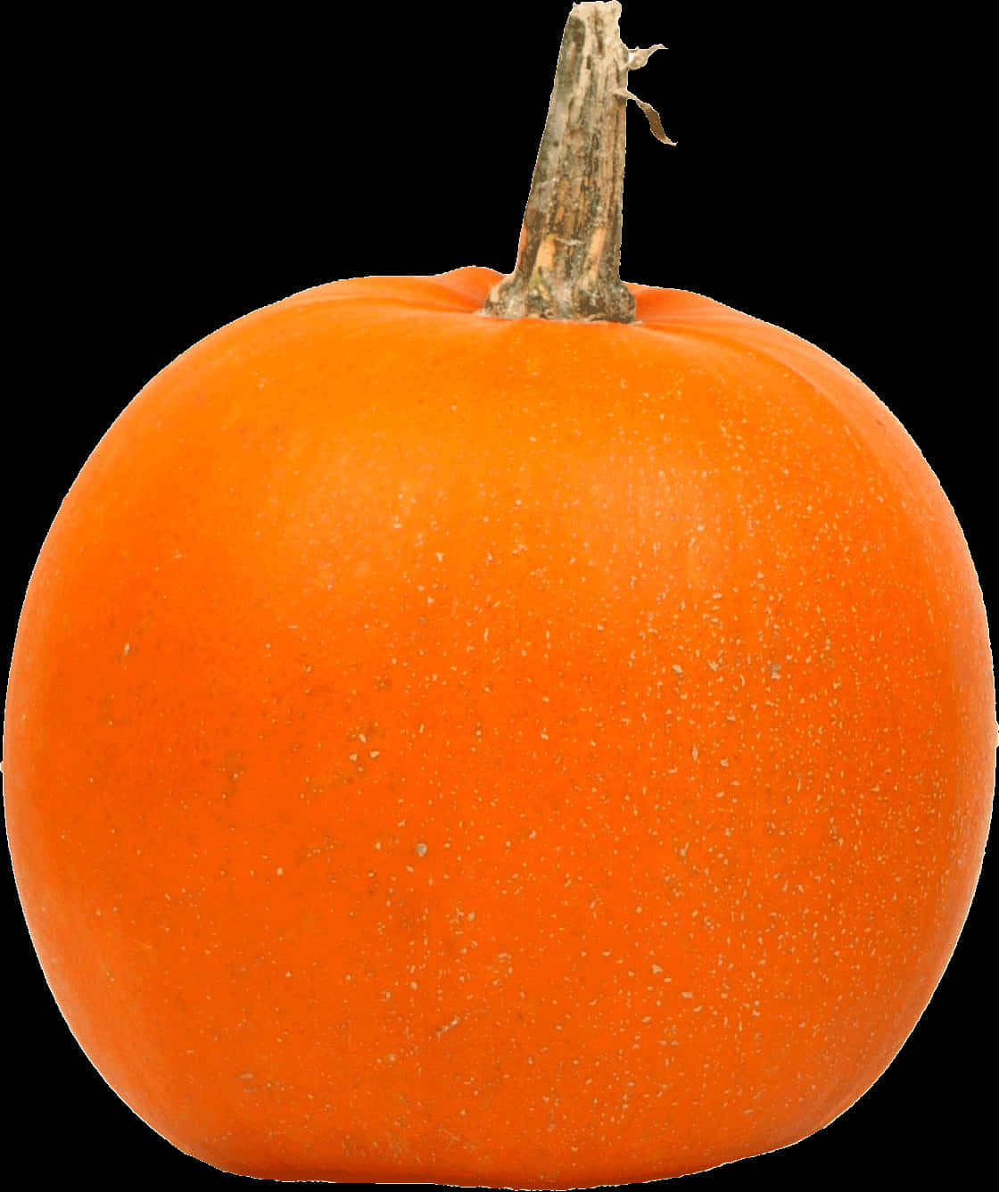 Orange Pumpkin Black Background