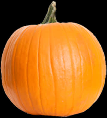 Orange Pumpkin Black Background