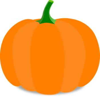 Orange Pumpkin Vector Illustration PNG with transparent background