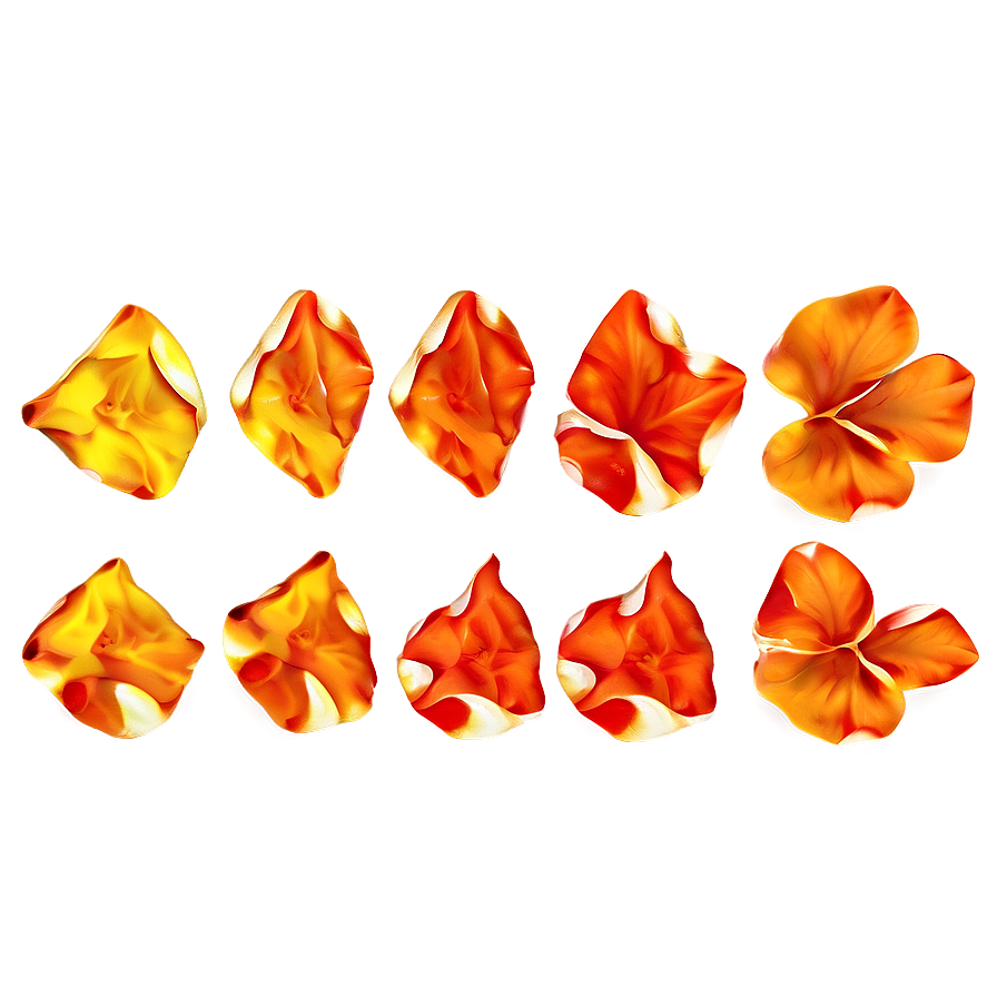 Orange Rose Petals Png 05252024