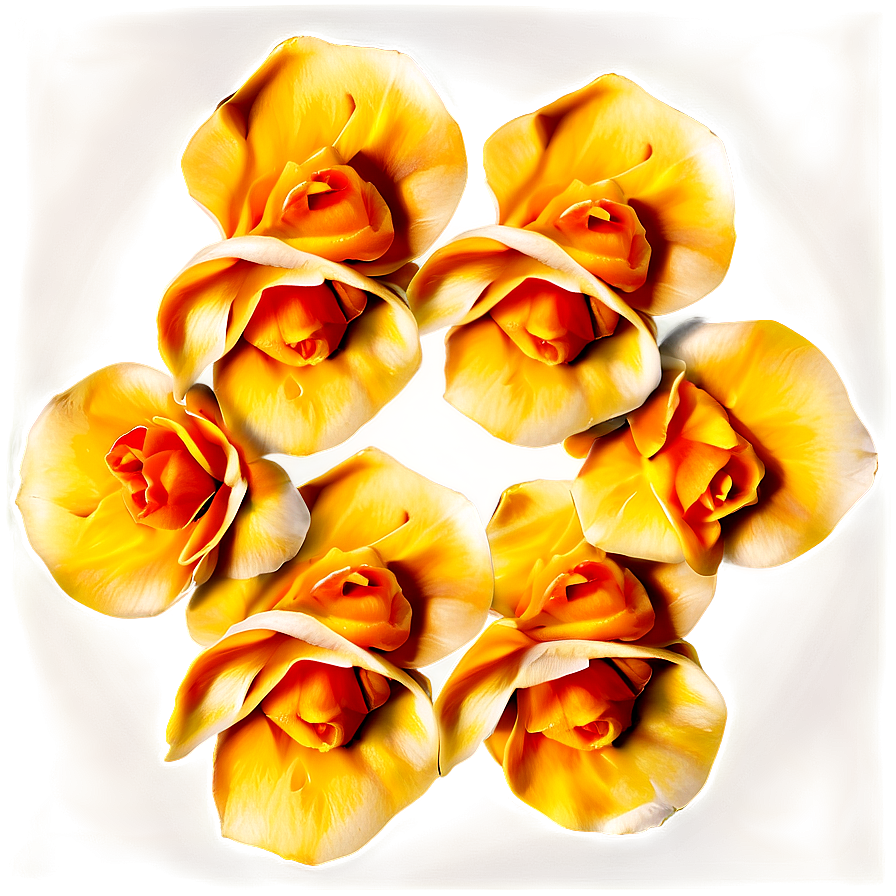 Orange Rose Petals Png Sxq10