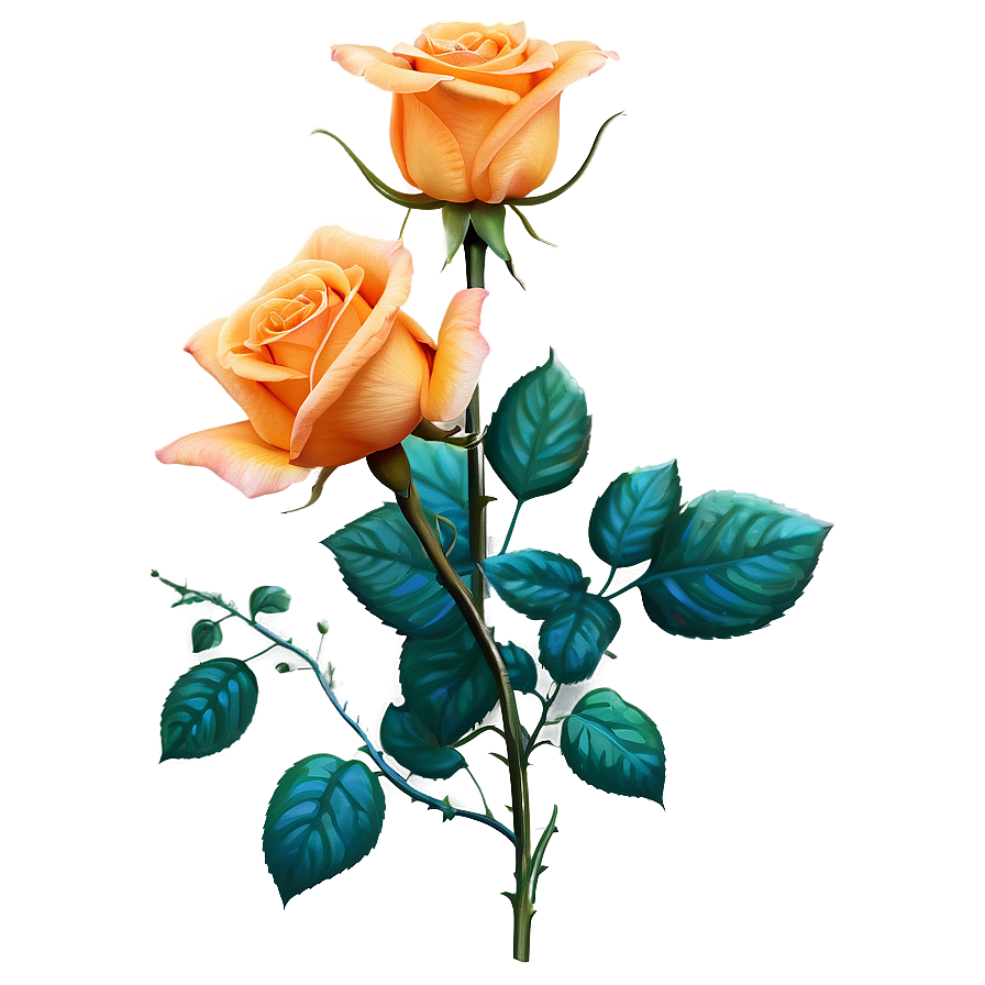 Orange Roses Sunset Png Avo83