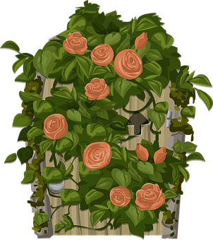 Orange Roseson Garden Fence Illustration PNG with transparent background