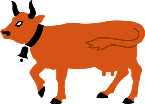 Orange Silhouette Cow Illustration