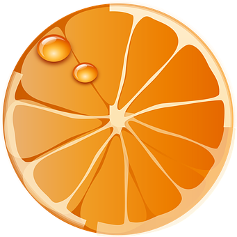 Orange Slice Icon