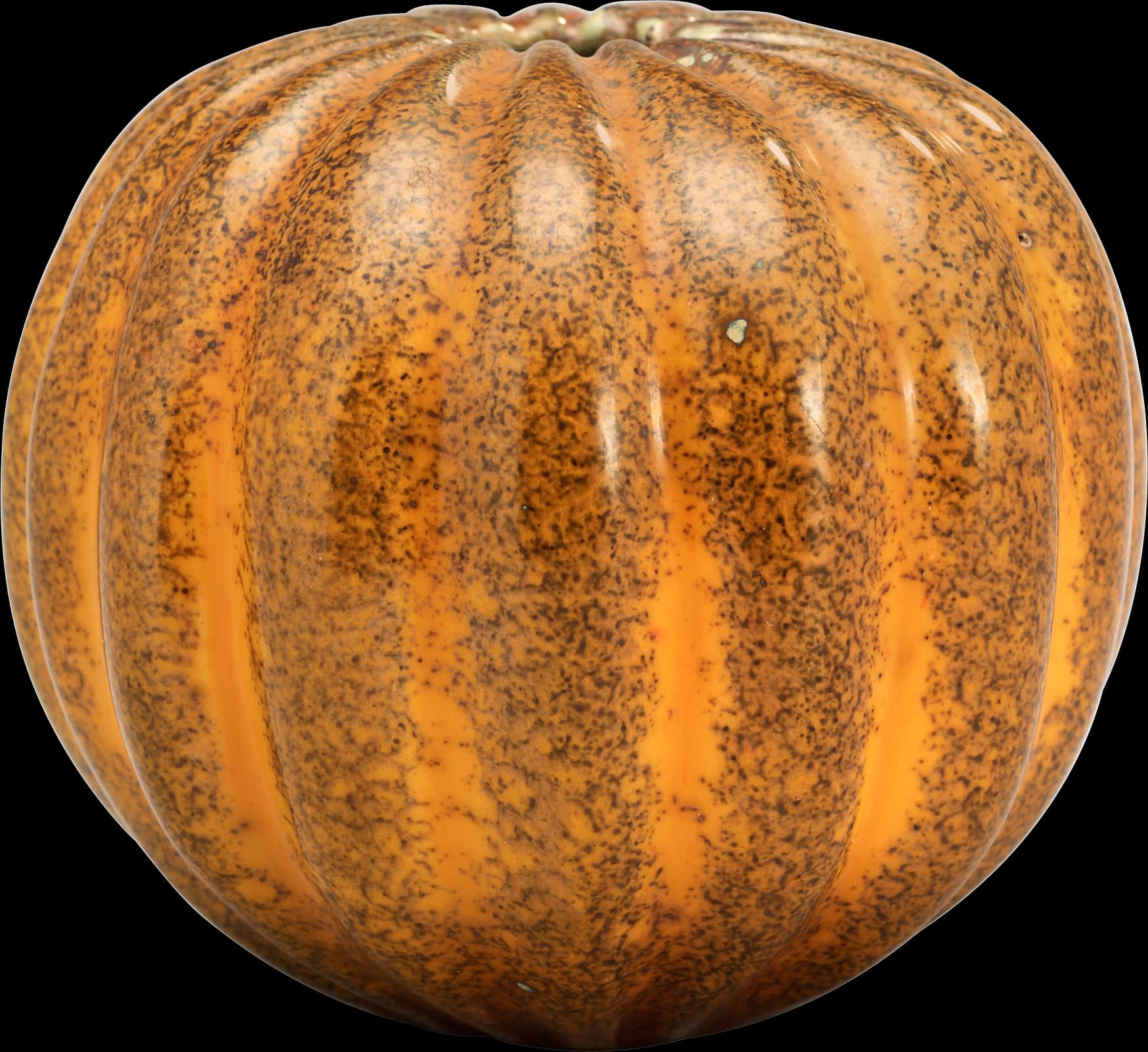 Orange Speckled Pumpkin Isolated