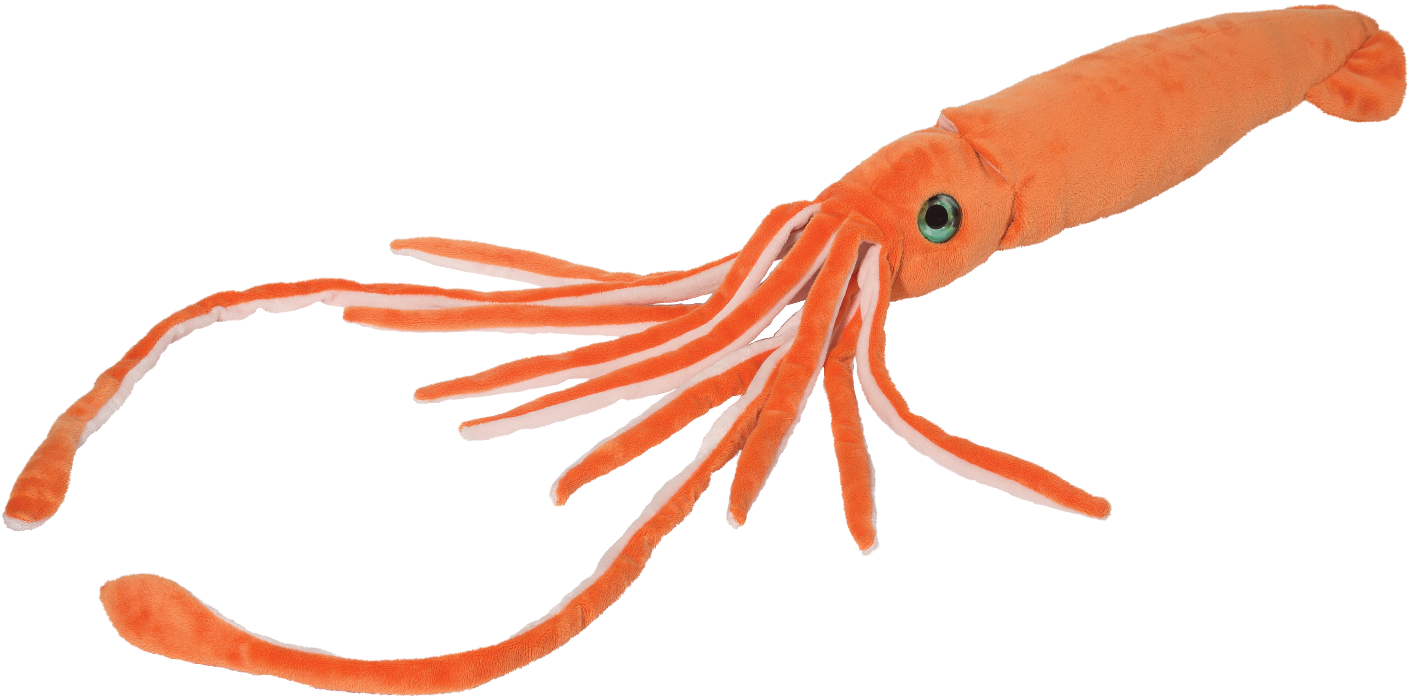 Douglas Cuddle Toys Squid, HD Png Download PNG image with a transparent background, free high-resolution download