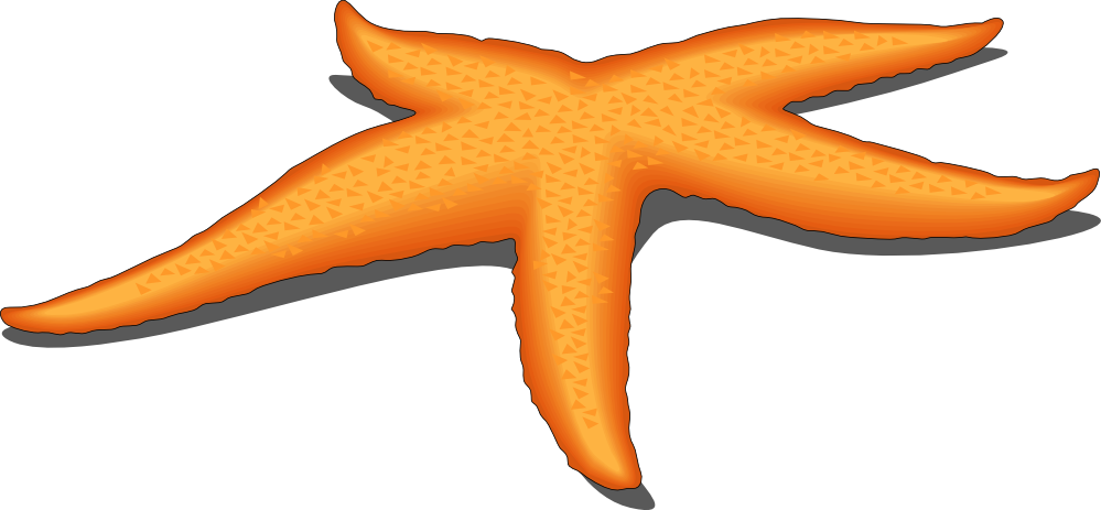 Orange Starfish Clipart