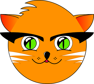 Orange Tabby Cartoon Face