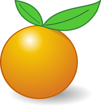 Orange Vector Illustration