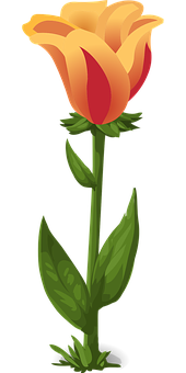 Orange Yellow Tulip Vector Illustration PNG with transparent background