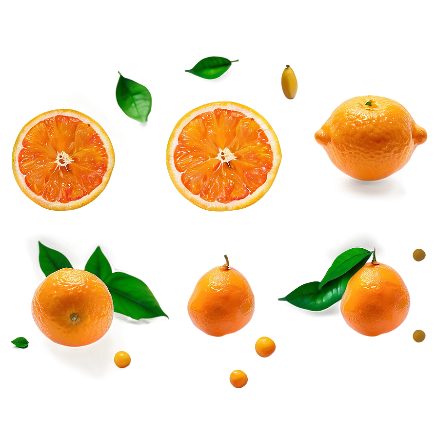 Oranges And Flowers Png 10