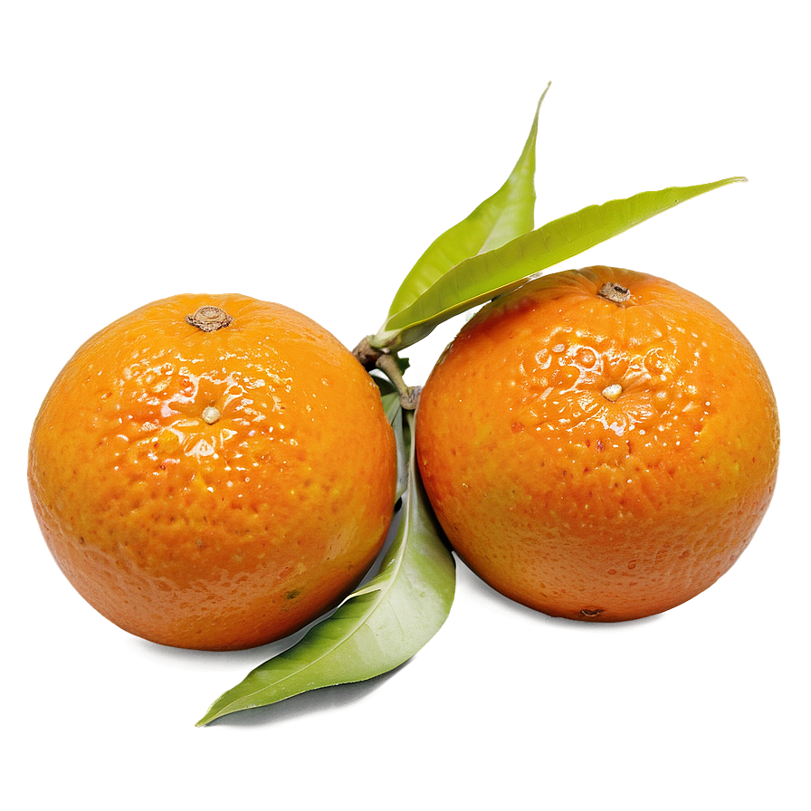 Oranges Top View Png 17