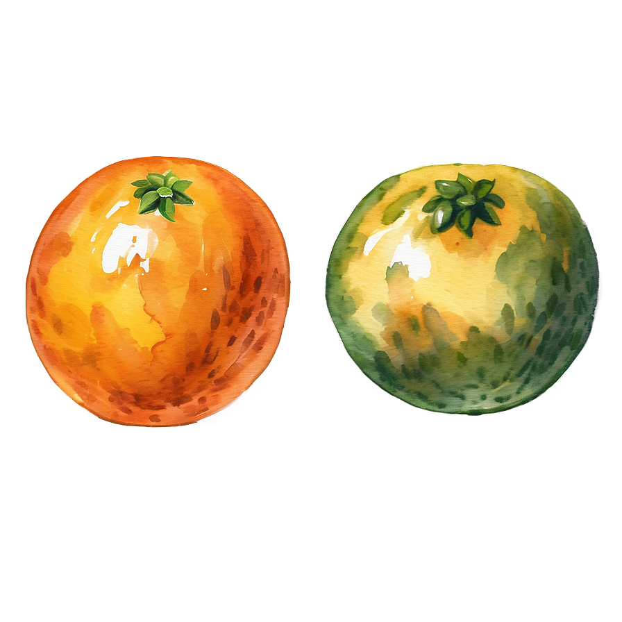 Oranges Watercolor Png Wmo20