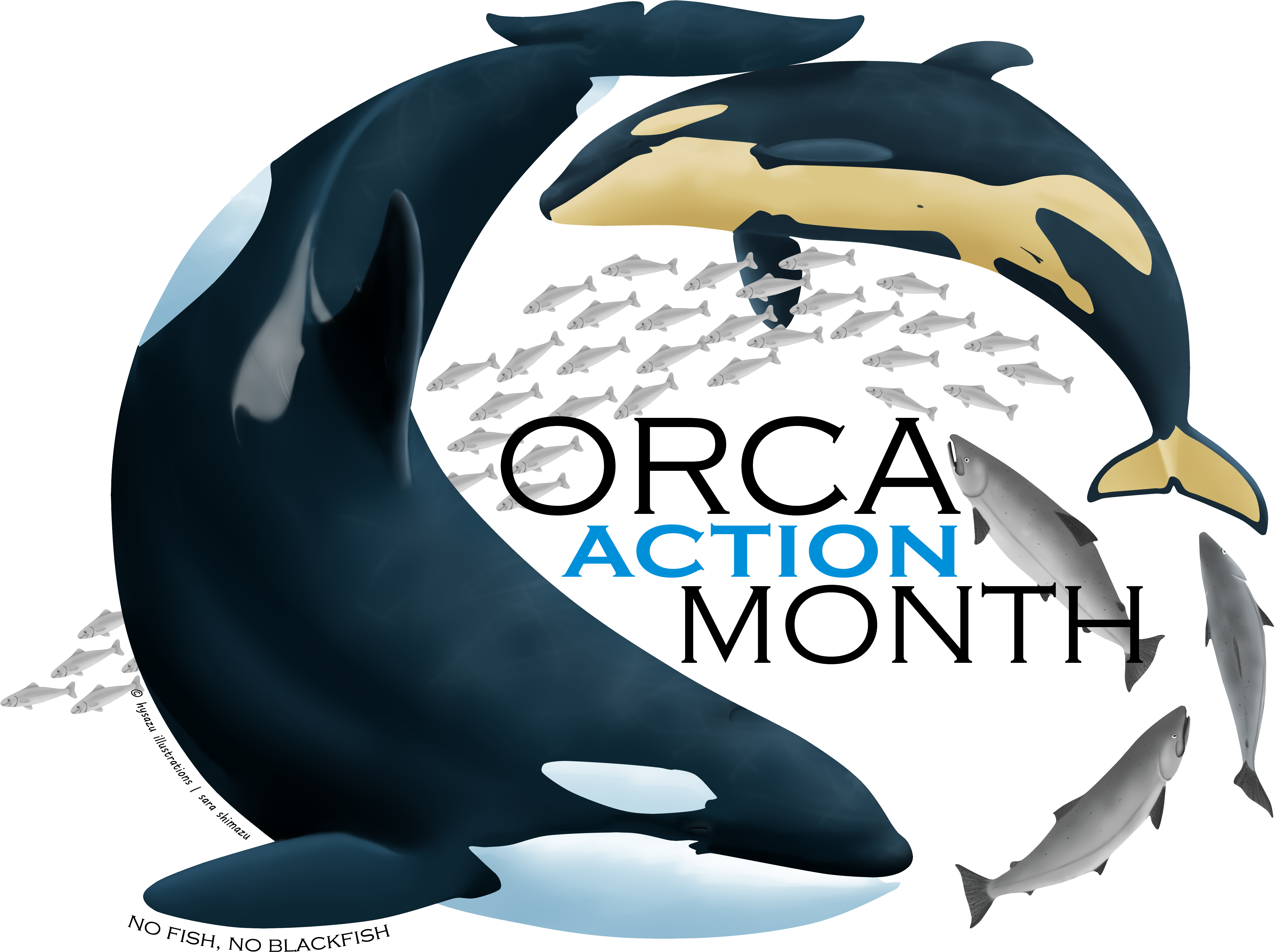 Southern Resident Orca Body, HD Png Download PNG with transparent background