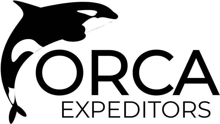 Orca Png , Png Download - Killer Whale, Transparent Png PNG with transparent background