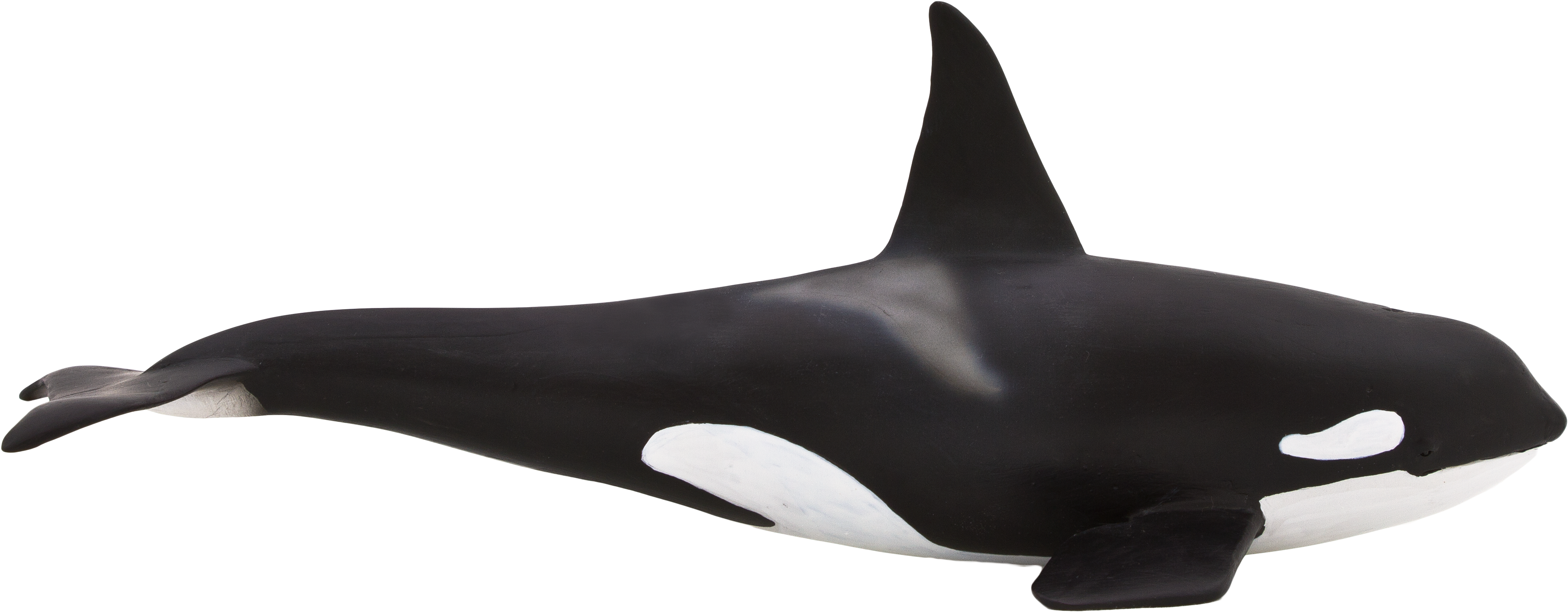 Orca Toy Png, Transparent Png PNG with transparent background